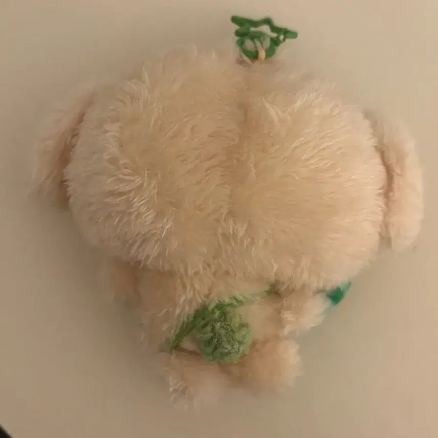 엔시티위시 위시돌 댕트리버