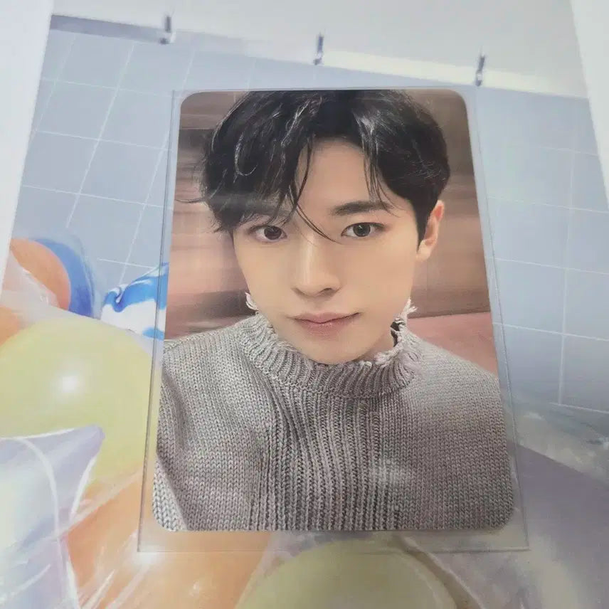 스테디 케타포 유우시