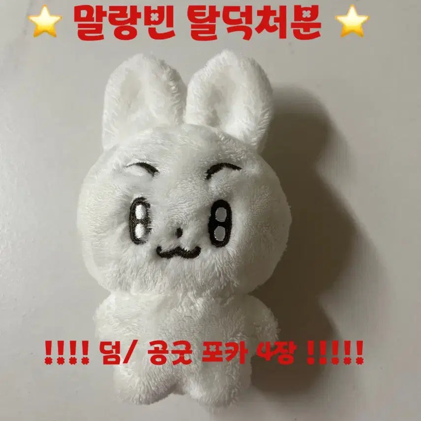 말랑빈 인형 + 덤 공굿포카 4장