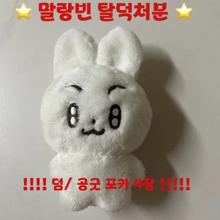 말랑빈 인형 + 덤 공굿포카 4장