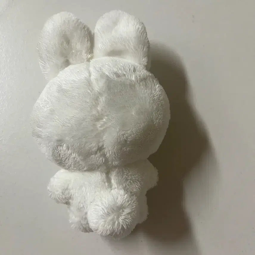 말랑빈 인형 + 덤 공굿포카 4장