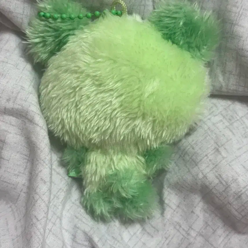 컬러위시돌 초록 팡이