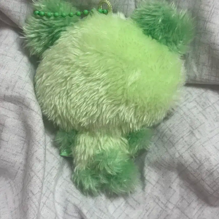 컬러위시돌 초록 팡이