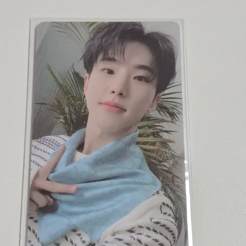 세븐틴 호시 유어초이스 엠투유 럭드 포카 양도