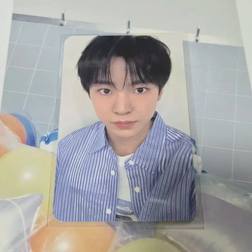 송버드 올엠디 유우시