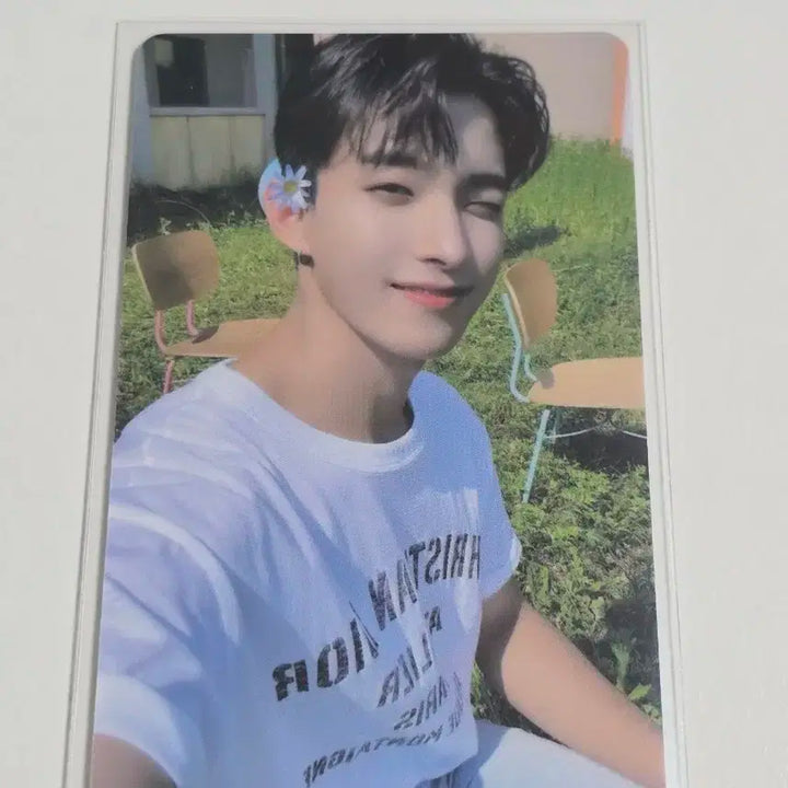 세븐틴 도겸 유어초이스 파워스테이션 럭드 포카 양도