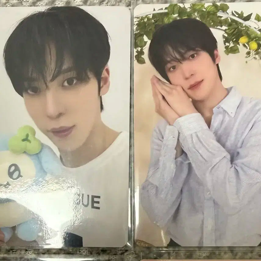 에이티즈윤호 마이티즈 5만원특전