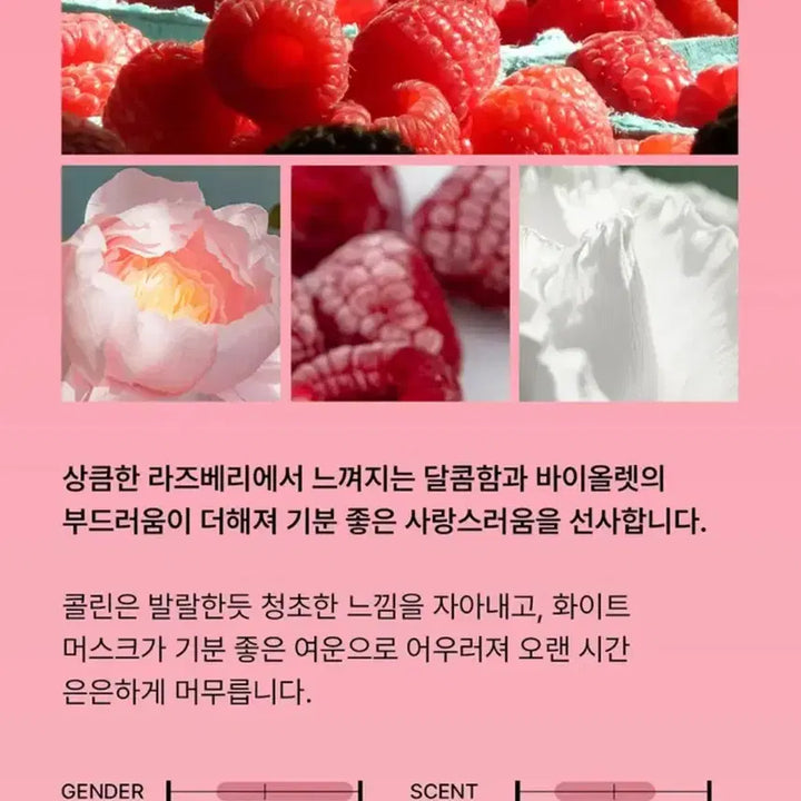 원가이하,배송비X,미개봉)보넥도 비비앙 콜린 핸드크림 미개봉 보넥도운학