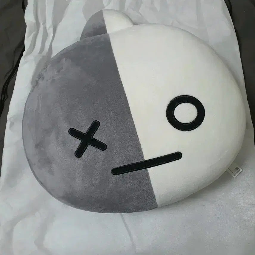 방탄 BTS BT21 캐릭터 쿠션 대형쿠션 van