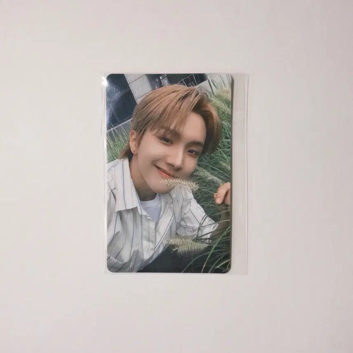 보넥도 운학 디액션 위버스 포카 판매