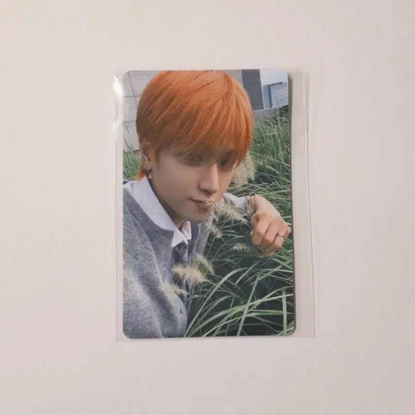 보넥도 리우 디액션 위버스 포카 판매