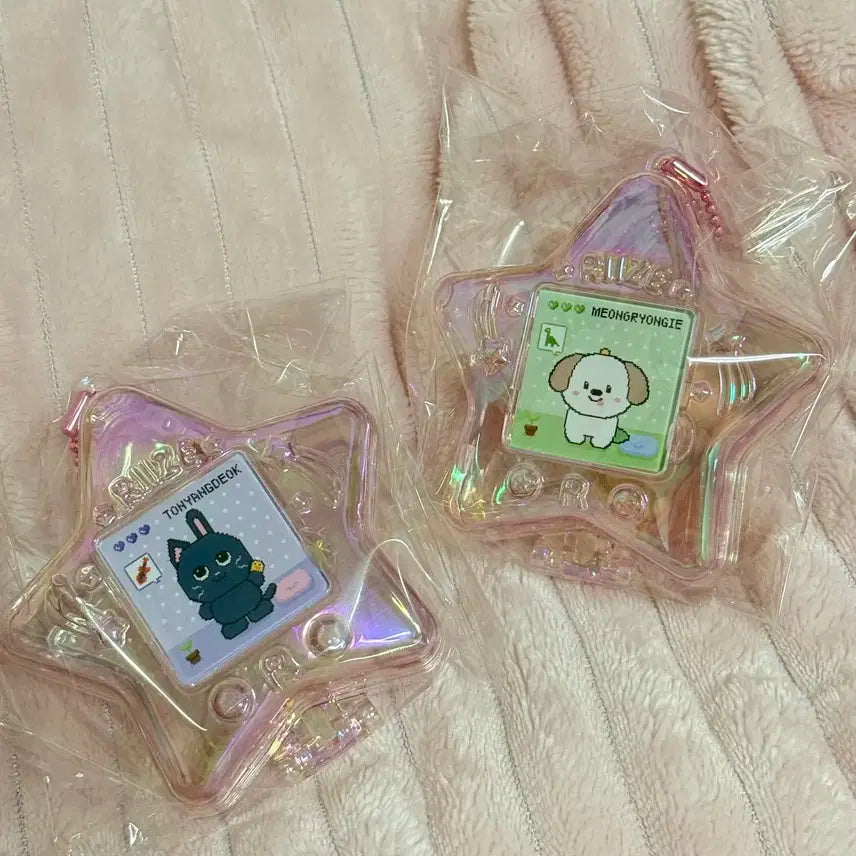 라이즈 원빈 토냥덕 앤톤 멍룡이 스타 케이스 양도합니다