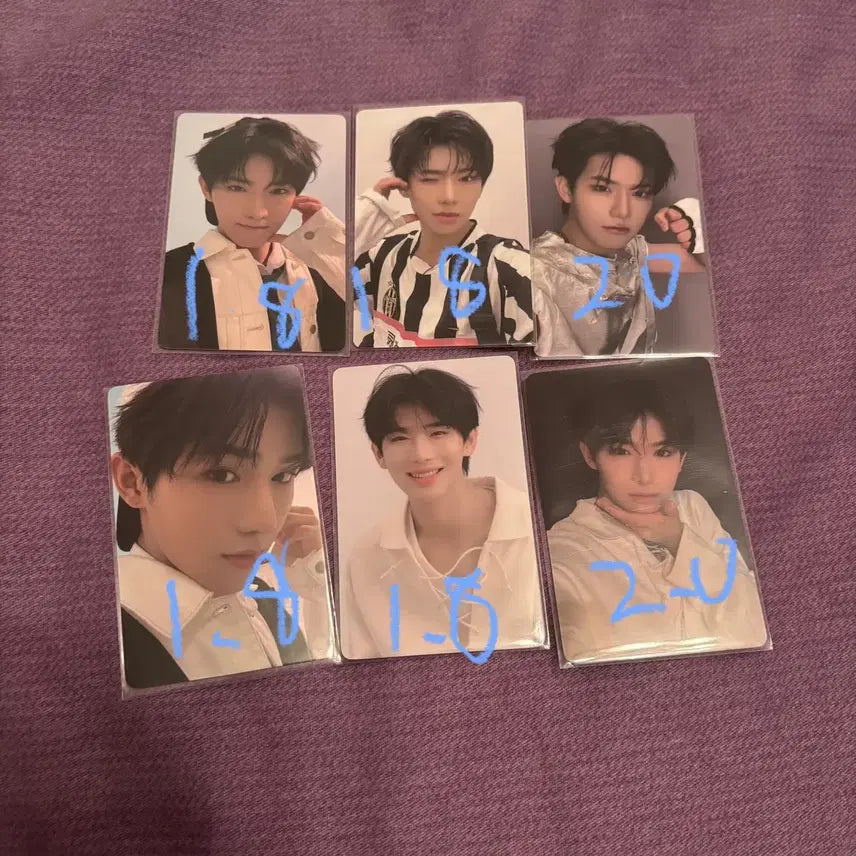 11/8일배송 보이즈플래닛 상하이 전시회 팝업 이첸 1주차 포카 양도