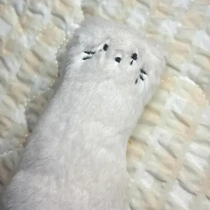 이펙스 백승 인형 10cm ㅅㅊㅇ 포카 포토카드 앨범