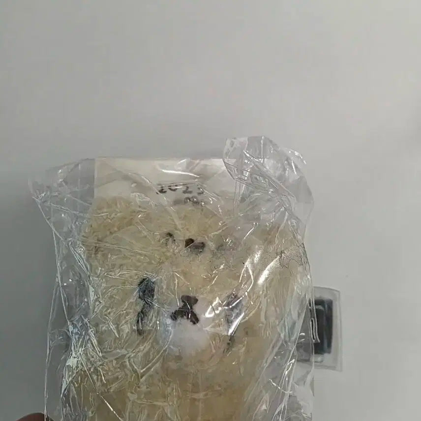 엔시티 드림 마크 7cm 인형 미니 치타리 미개봉