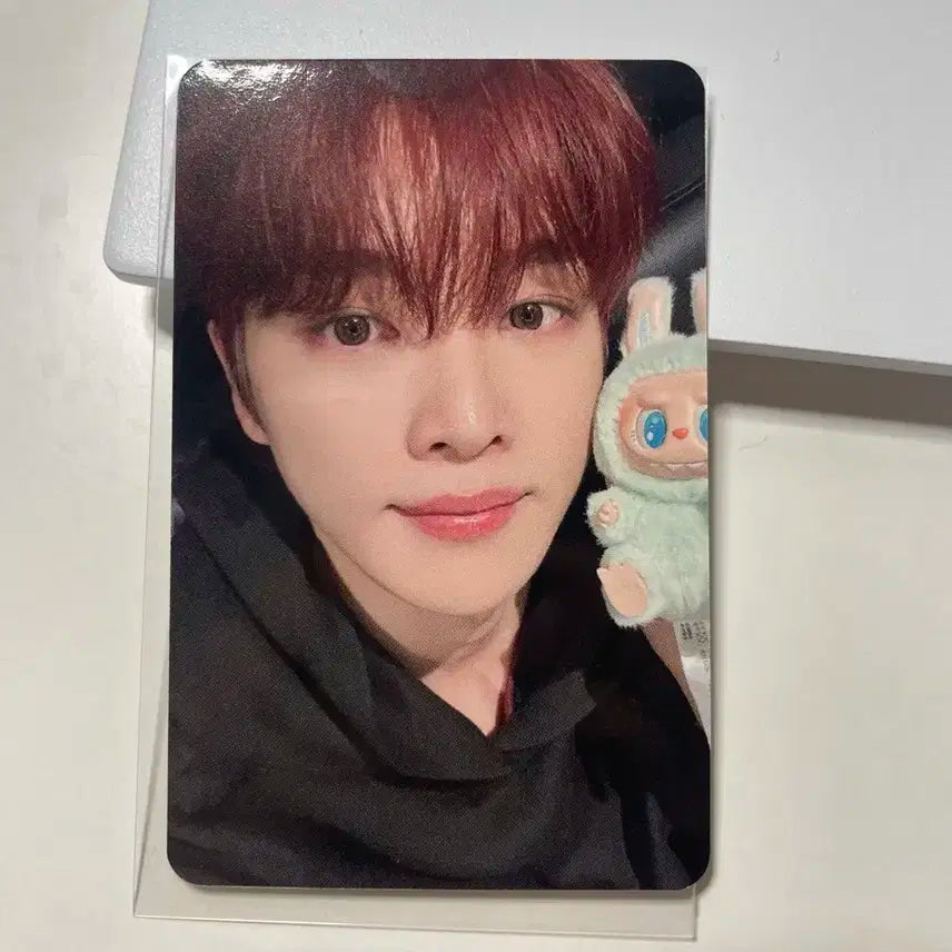 라이즈 성찬 오디세이 럭드포카