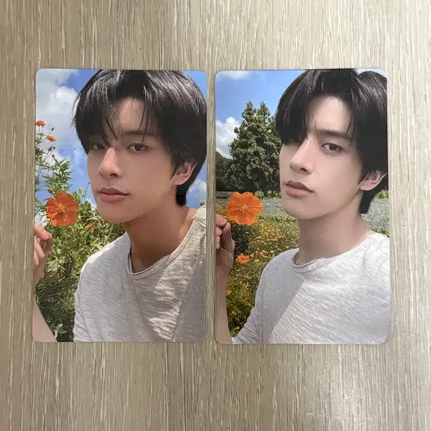 엔하이픈 포카 오렌지블러드 위버스 제이크