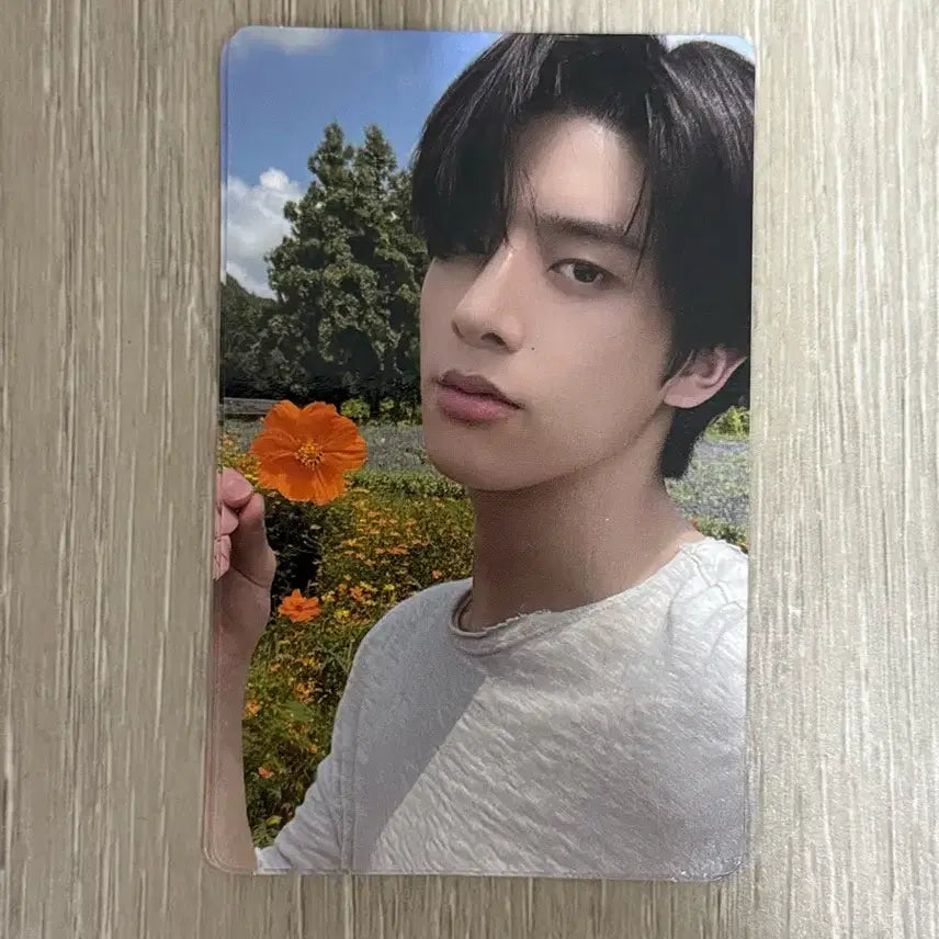 엔하이픈 포카 오렌지블러드 위버스 제이크