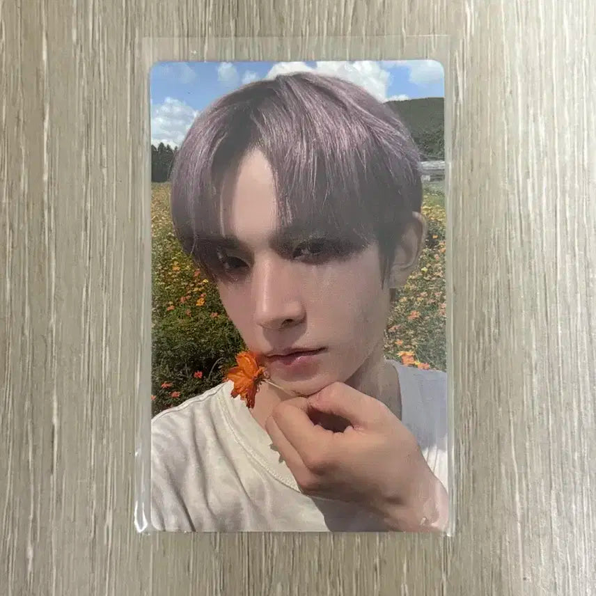 엔하이픈 포카 오렌지블러드 위버스 희승