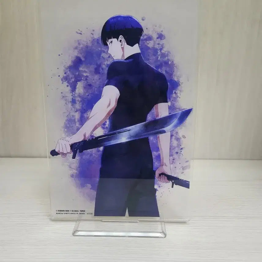 호시나 소우시로 D상