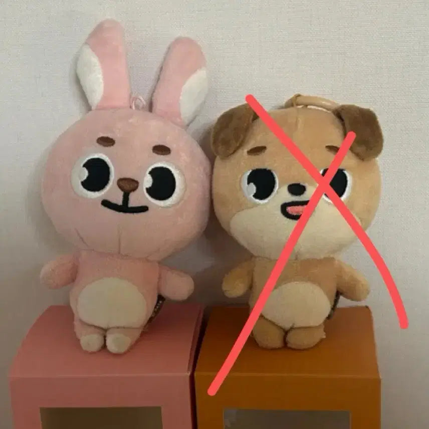 20필끼 데니멀즈 김원필