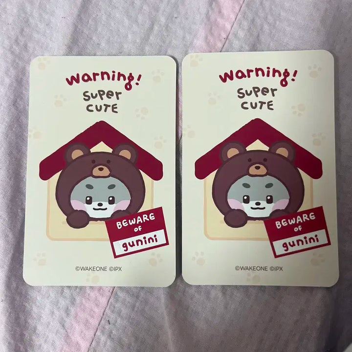 제베원 제로니팝업 5만원포카 박건욱 거니니