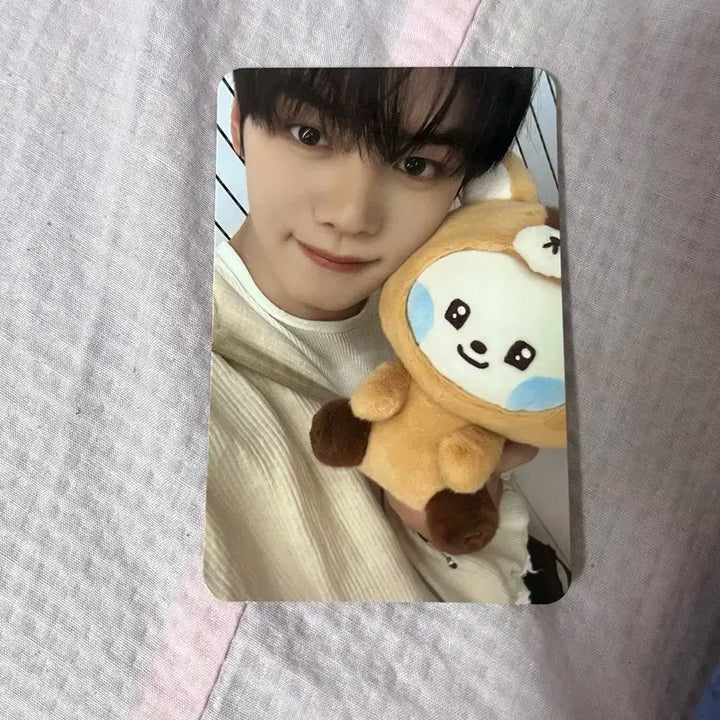 제베원 제로니팝업 5만원포카 김규빈 규니니