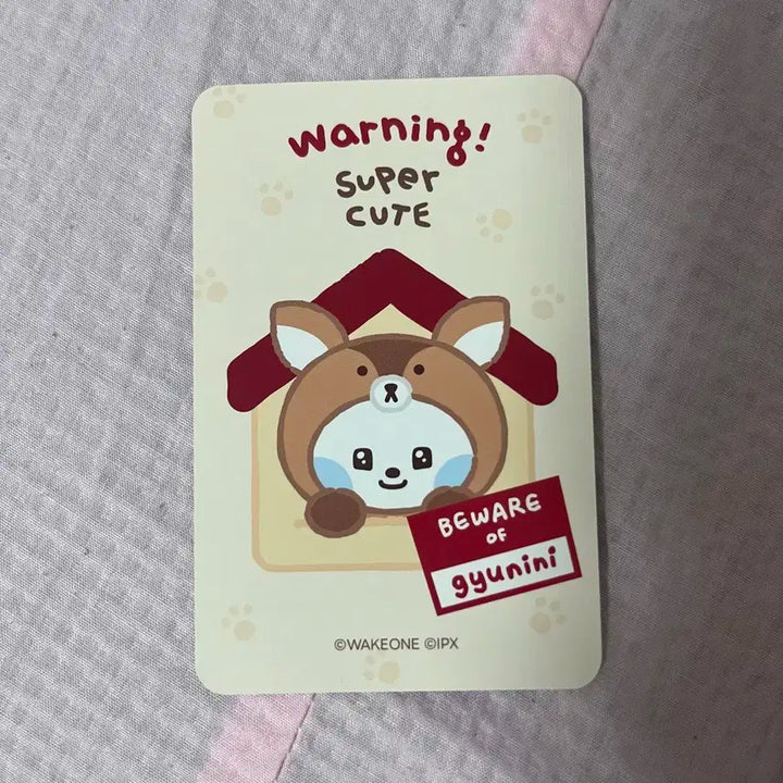 제베원 제로니팝업 5만원포카 김규빈 규니니