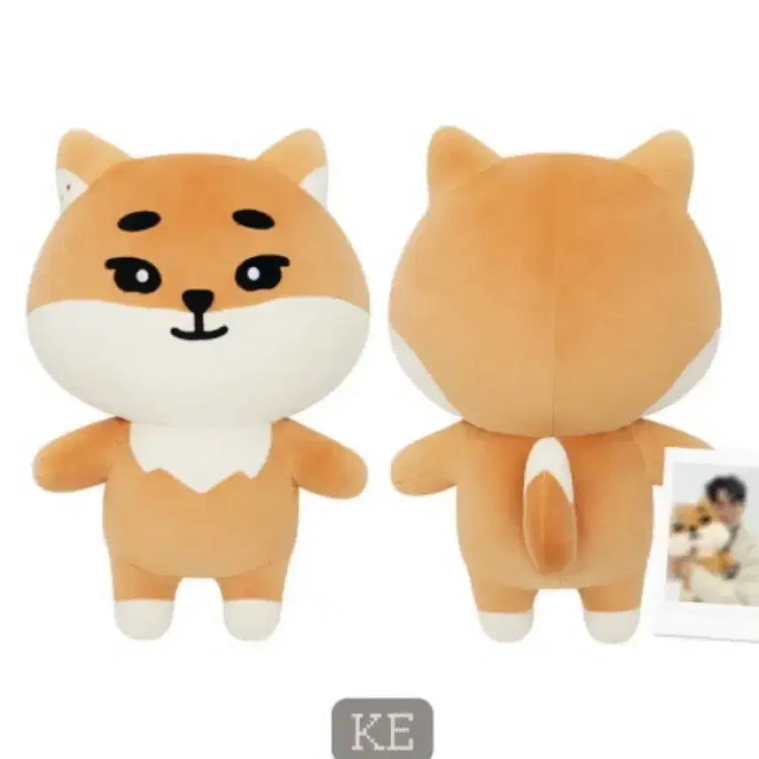 데이식스 자이언트 데니멀즈(+폴라, 특전) 케 ke 미개봉 풀구성