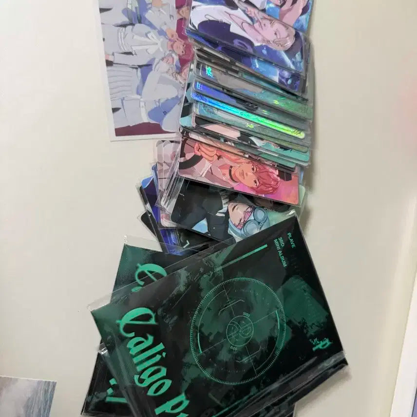 플레이브 앨범 일괄