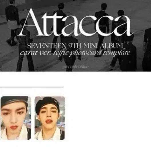 세븐틴 에스쿱스 아타카 + 캐럿반 일괄