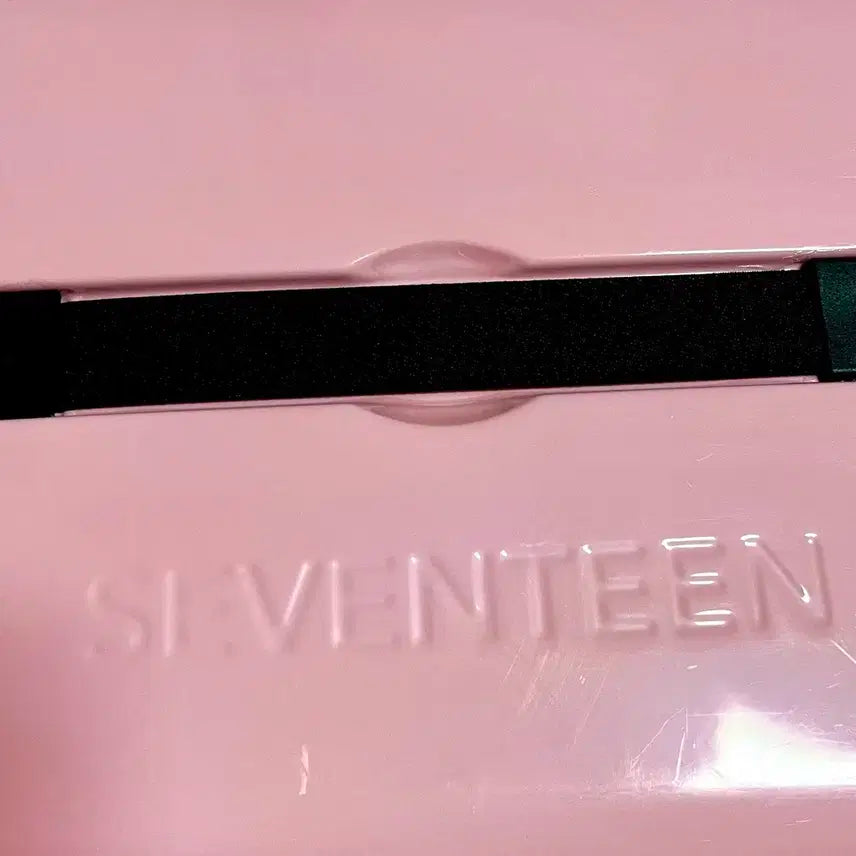세븐틴 파오럽 캐리어 러기지백 핑크 양도