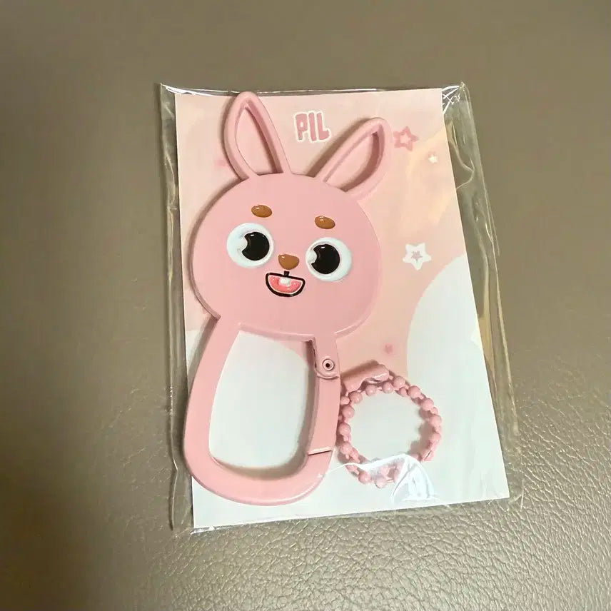 데이식스 데니멀즈 메탈 카라비너 필 PIL