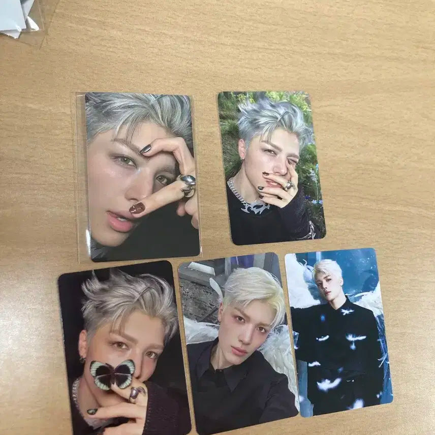 앤팀 마키 포카 일괄 백투라 위버스 특전 팝업 세트B