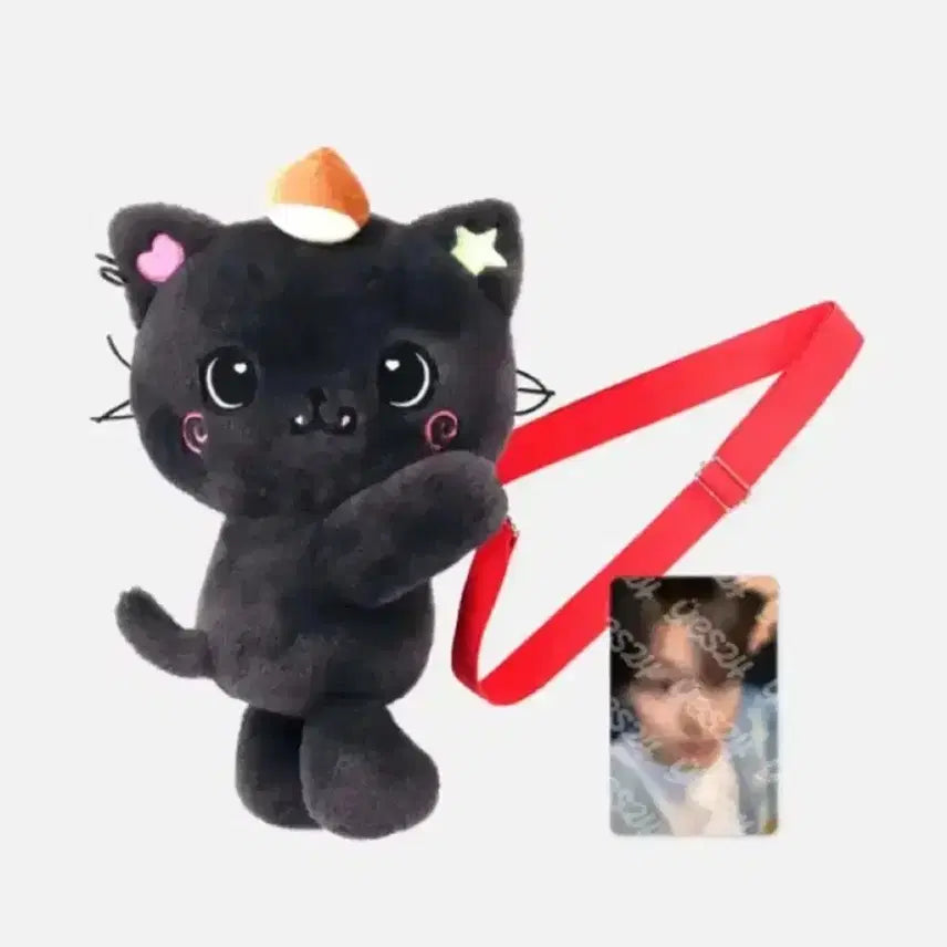 엔시티위시 위시돌 인형 가방 쿠리 포카포함