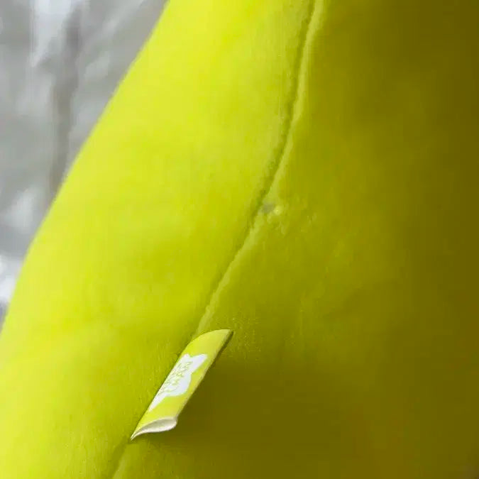 NCT 127 해찬 별가사리 햇가사리 쿠션 포카포함 양도