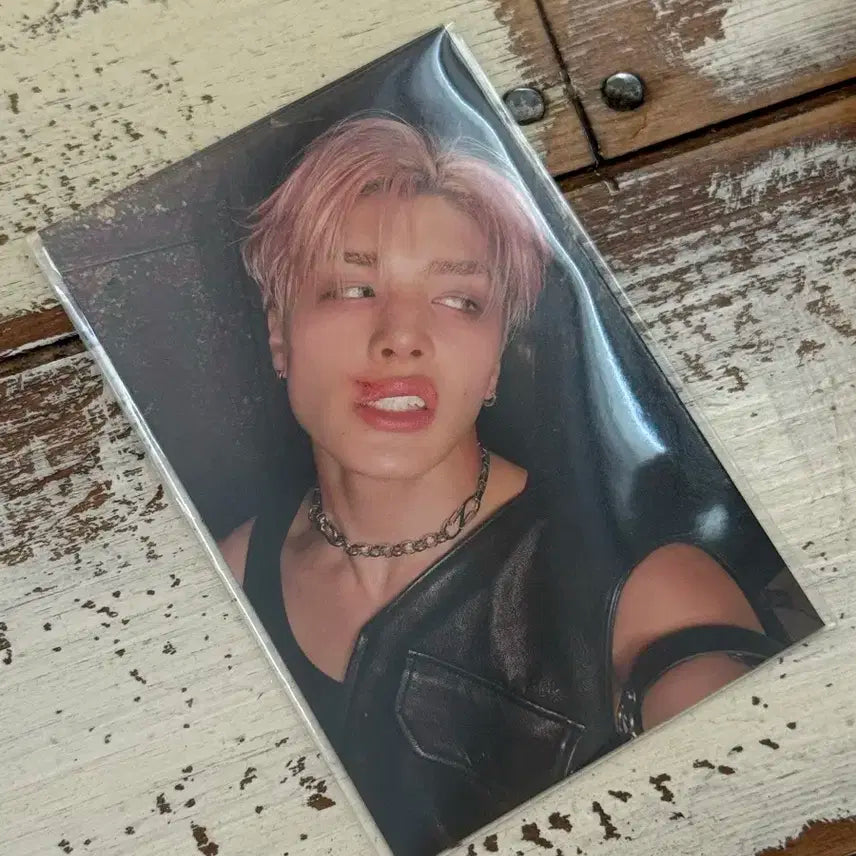 앤팀 백투라 팝업 포카 양도