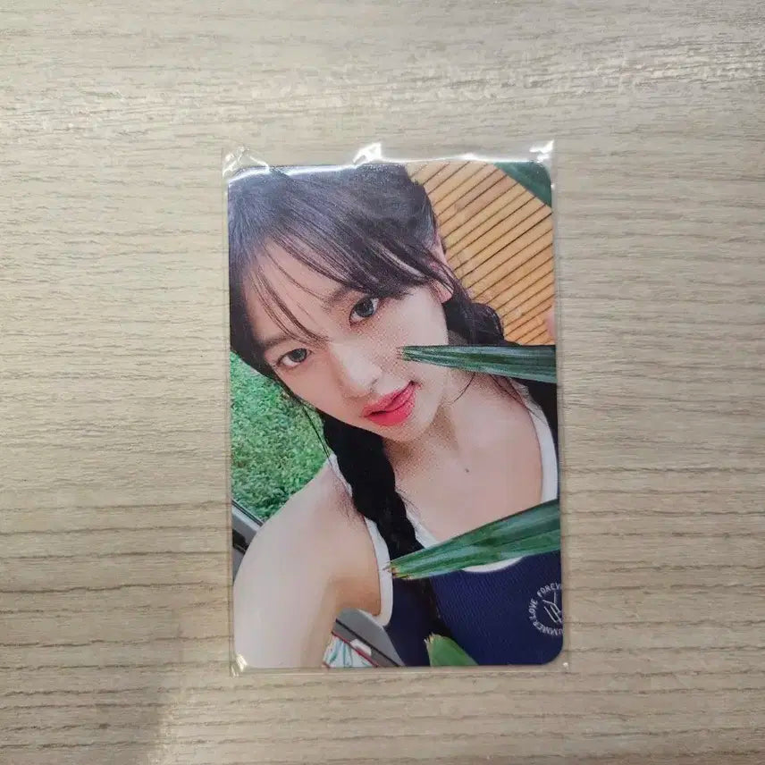 아이브 안유진 여름포토북 사운드웨이브 미공포 포카