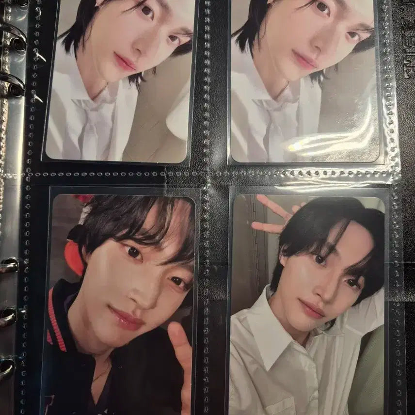 라이즈 원빈포카일괄