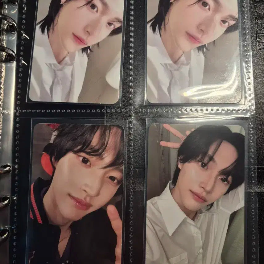 라이즈 원빈포카일괄