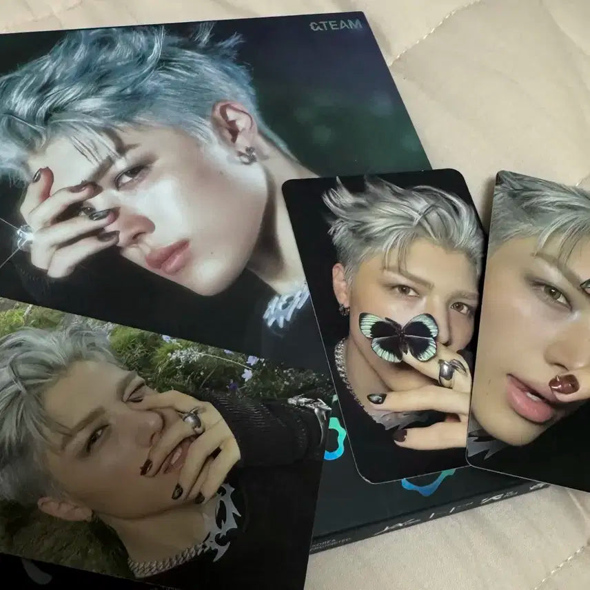 마키 앤팀 로어 백투라이프 개봉 앨범 포카 풀셋