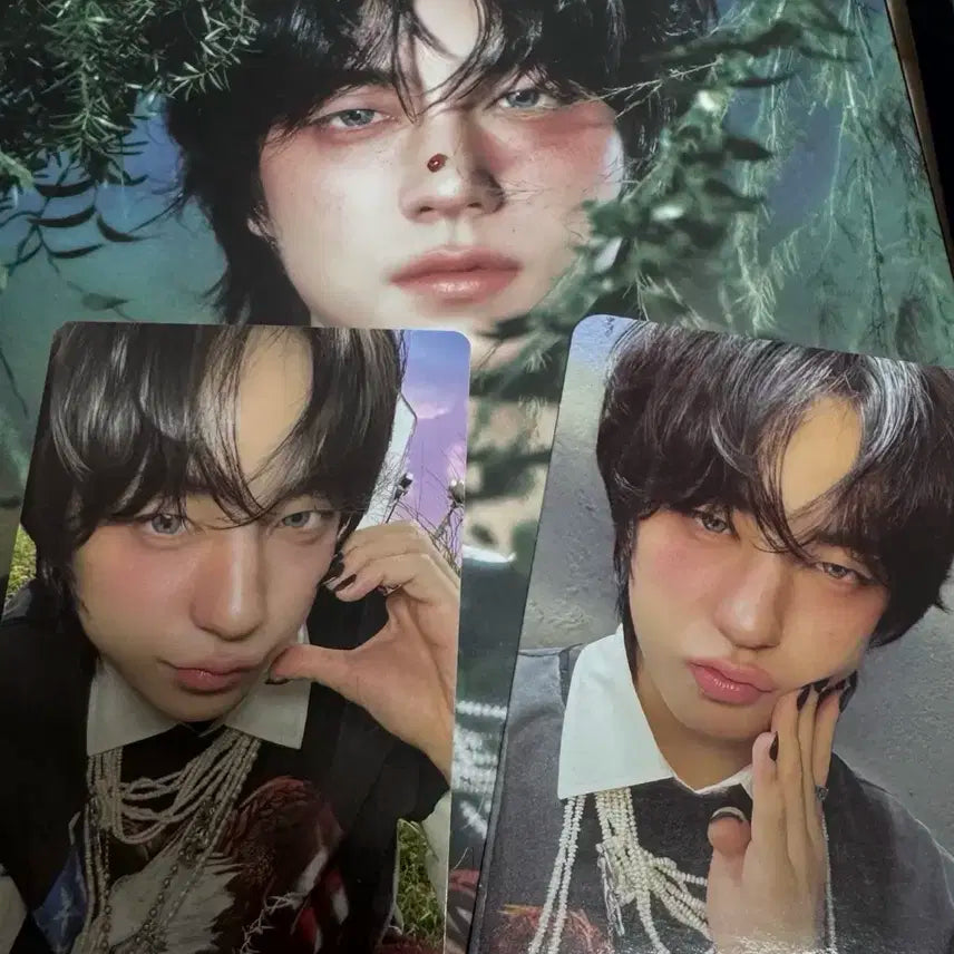 타키 앤팀 로어 백투라이프 개봉 앨범 포카 풀셋