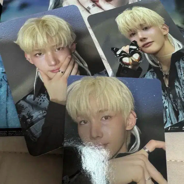 죠 앤팀 로어 백투라이프 개봉 앨범 포카 풀셋