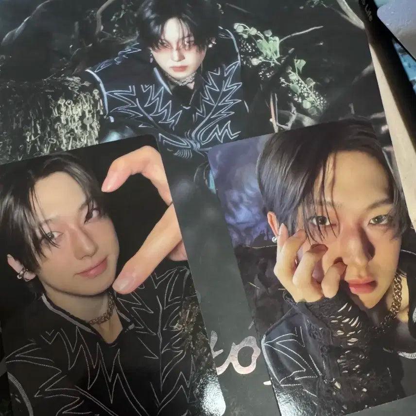 후마 앤팀 로어 백투라이프 개봉 앨범 포카 풀셋