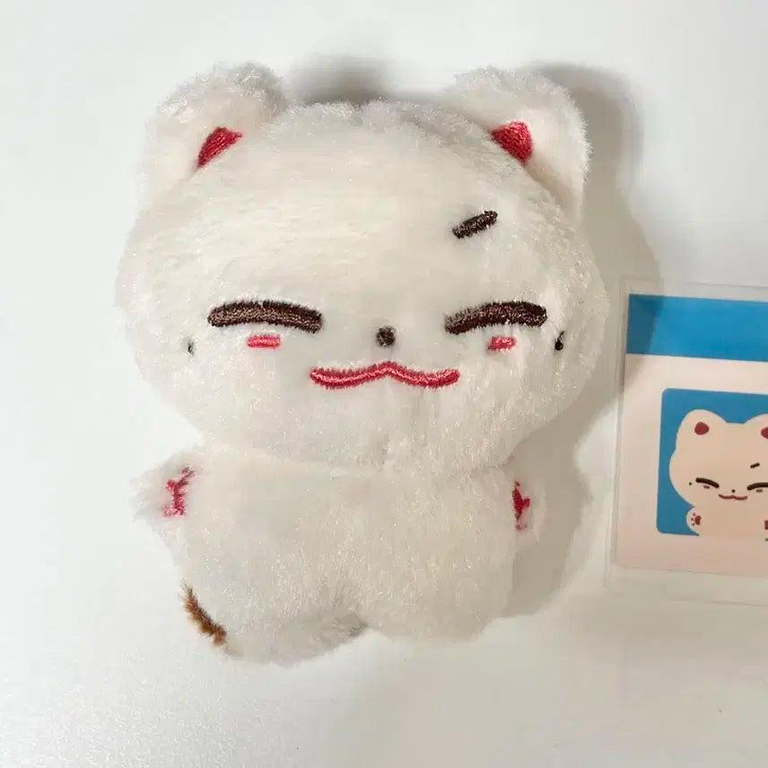 튜룽지 석매튜 10cm 사막여우 인형 제로베이스원 제베원