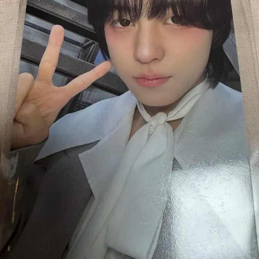 타키 앤팀 백투라이프 위버스 미공포 포카