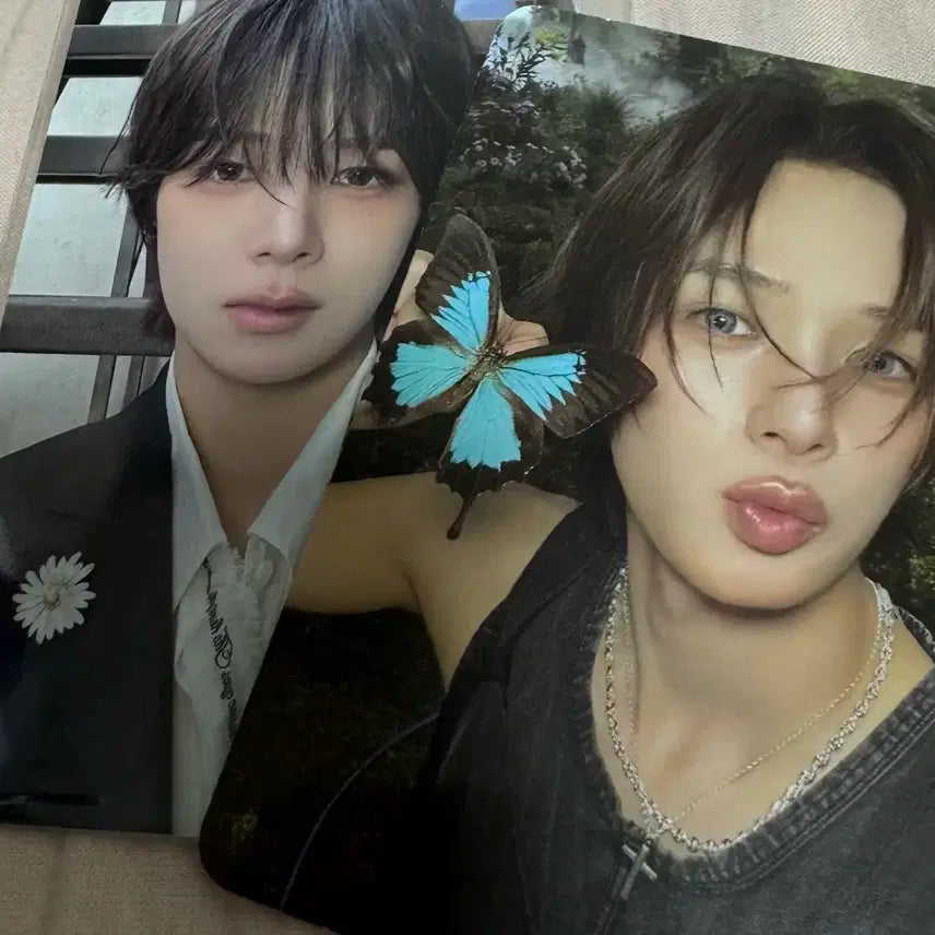 케이 앤팀 백투라이프 미공포 포카 일괄