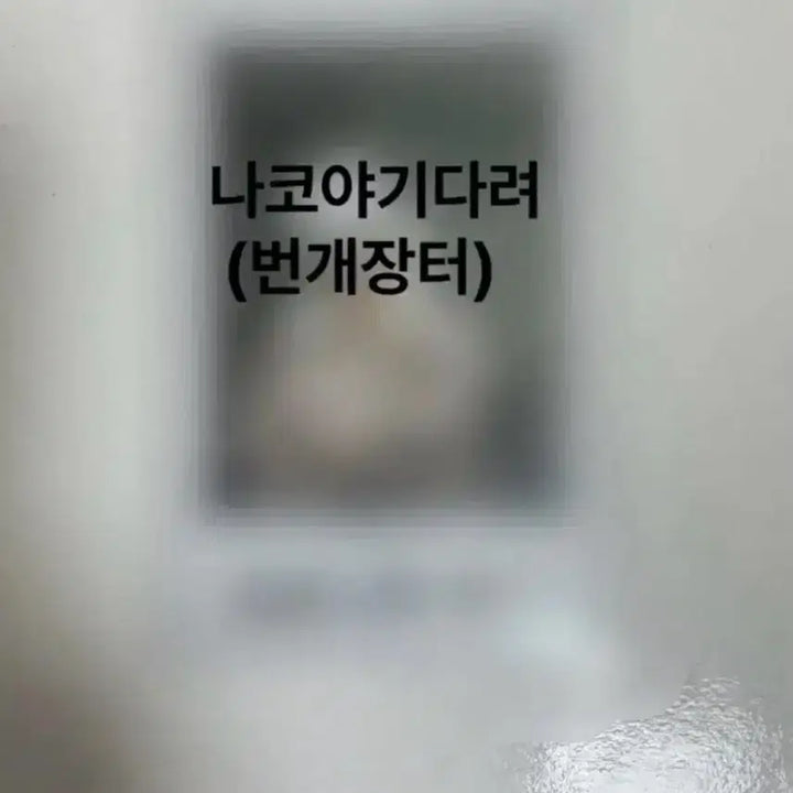 TWS 투어스 도훈 싸인폴라로이드