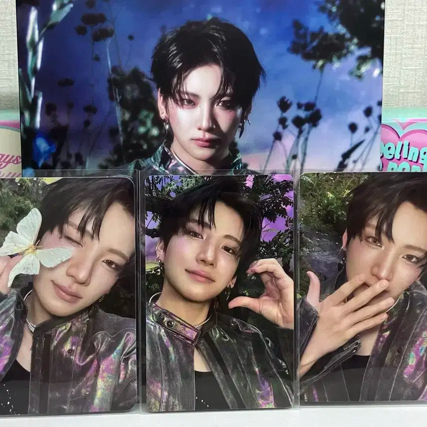 앤팀 유마 백투라이프 앨범 풀셋