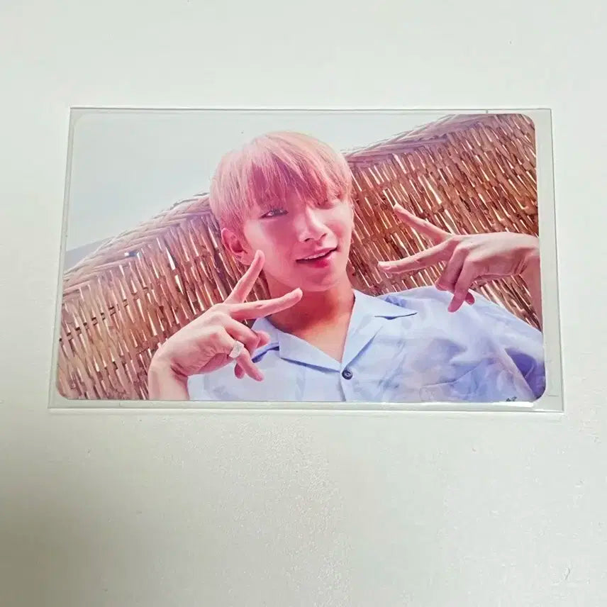 세븐틴 틴에이지 그린 조슈아 포카